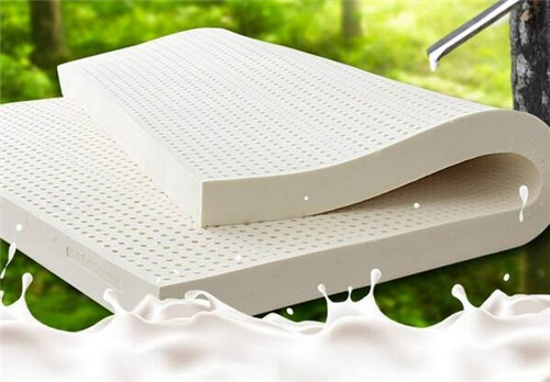 在陕西省汉中市佛坪县中学